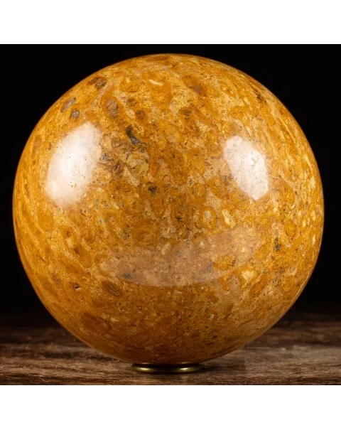 Sfera in Corallo Fossile