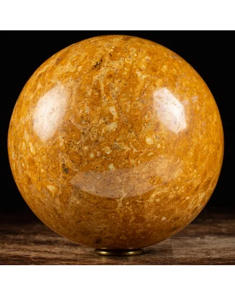 Sfera in Corallo Fossile