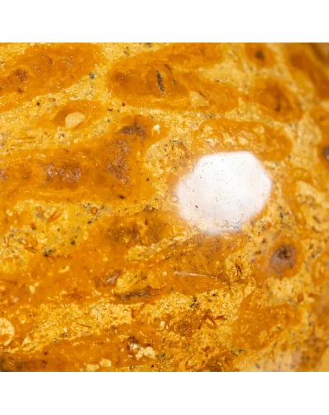 Sfera in Corallo Fossile