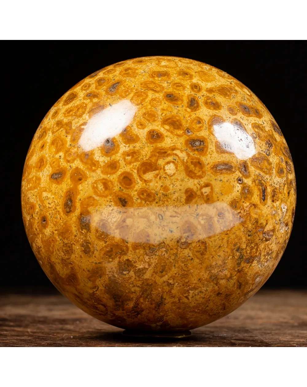 Sfera in Corallo Fossile