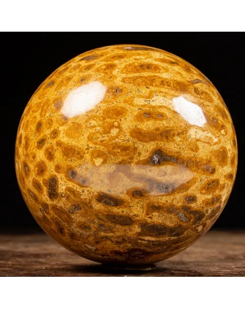 Sfera in Corallo Fossile