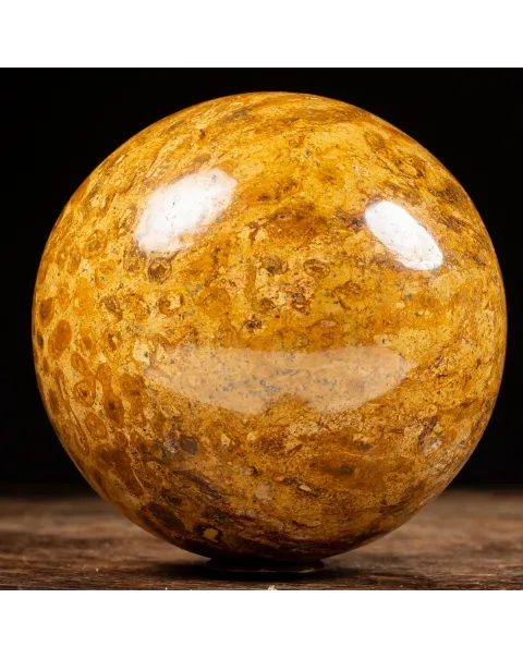 Sfera in Corallo Fossile