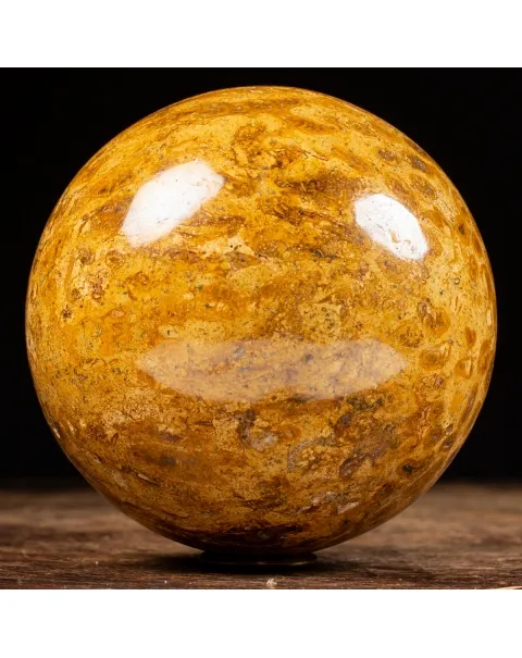 Sfera in Corallo Fossile