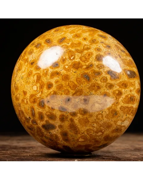 Sfera in Corallo Fossile