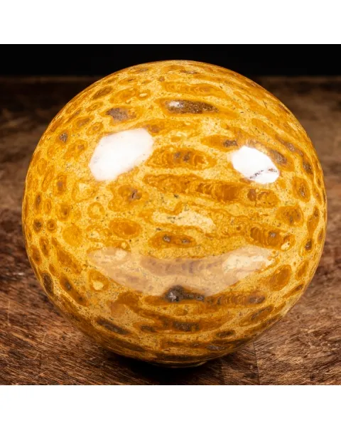 Sfera in Corallo Fossile