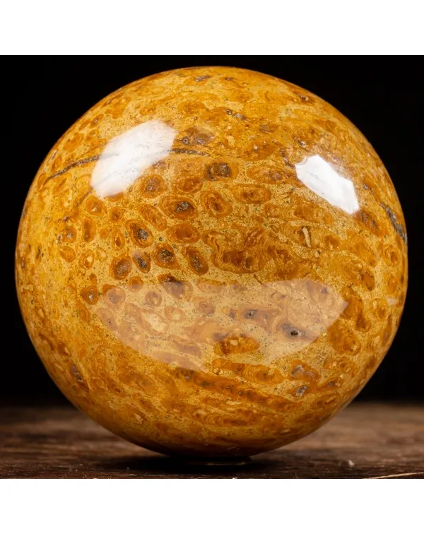 Sfera in Corallo Fossile