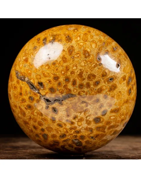 Sfera in Corallo Fossile