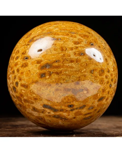 Sfera in Corallo Fossile