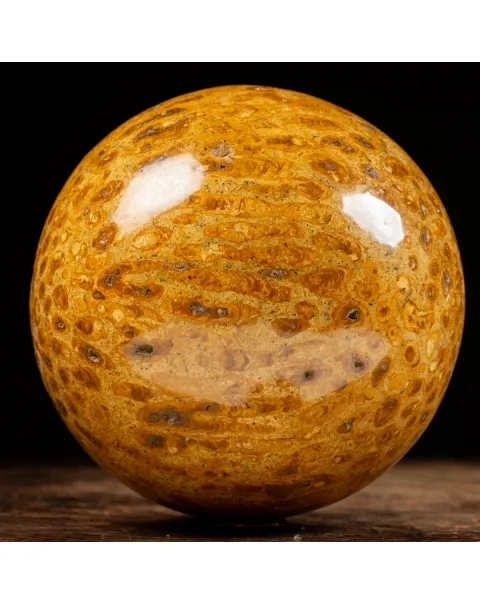 Sfera in Corallo Fossile