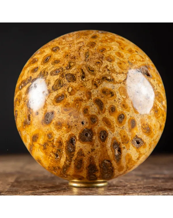 Sfera in Corallo Fossile