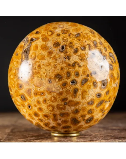 Sfera in Corallo Fossile