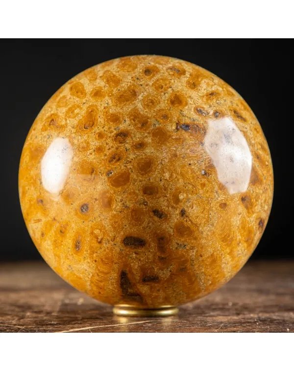 Sfera in Corallo Fossile