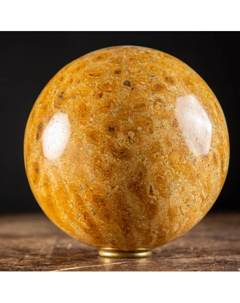 Sfera in Corallo Fossile