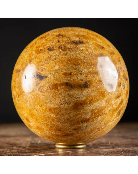 Sfera in Corallo Fossile