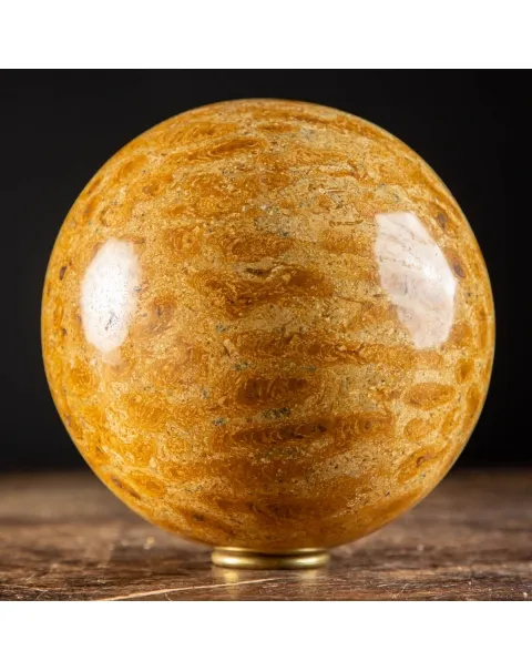 Sfera in Corallo Fossile