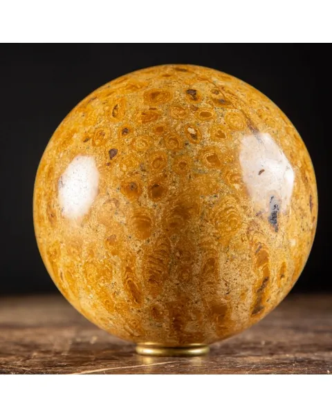 Sfera in Corallo Fossile
