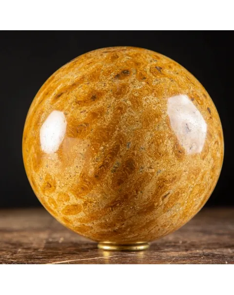 Sfera in Corallo Fossile
