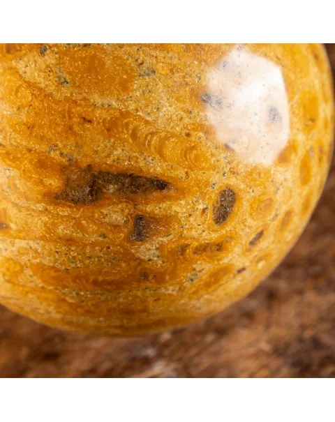 Sfera in Corallo Fossile