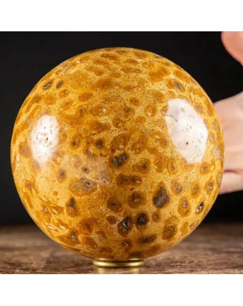 Sfera in Corallo Fossile