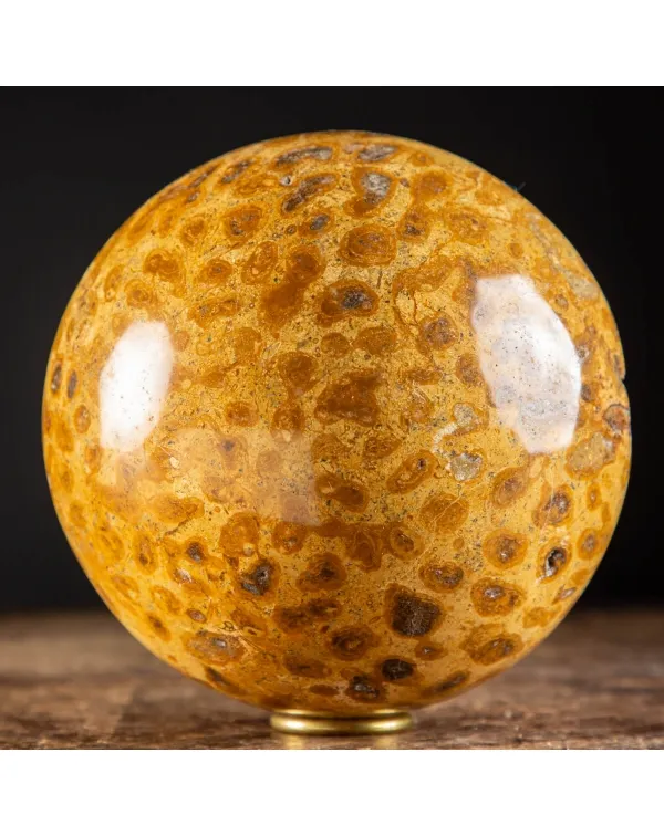 Sfera in Corallo Fossile