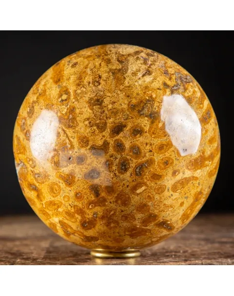 Sfera in Corallo Fossile