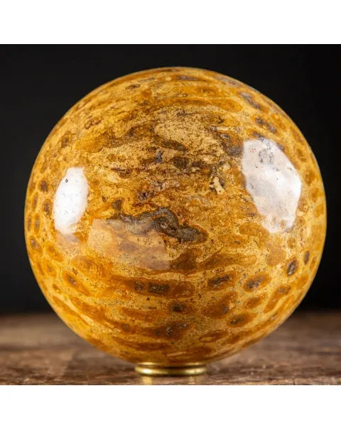 Sfera in Corallo Fossile