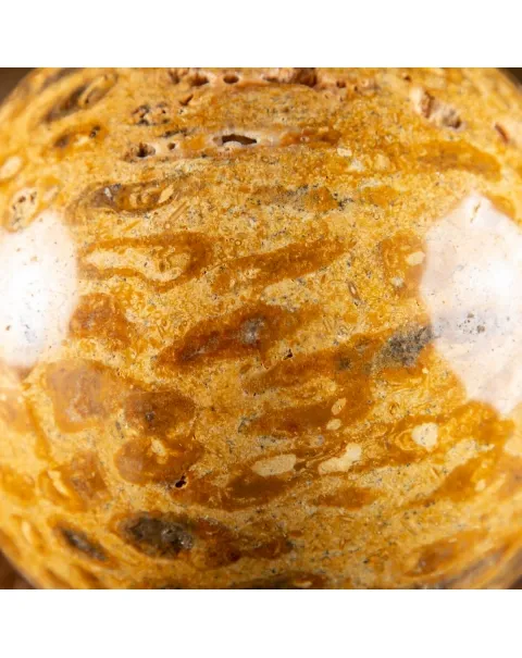 Sfera in Corallo Fossile