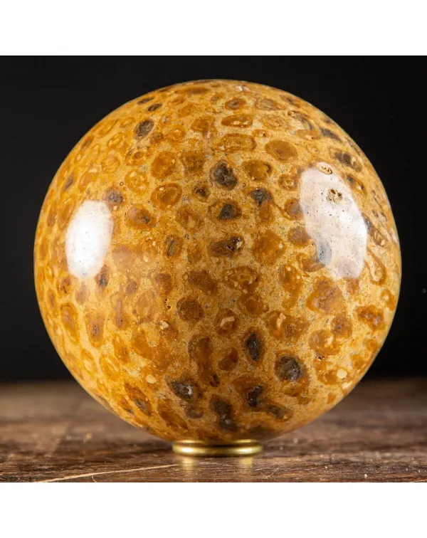 Sfera in Corallo Fossile