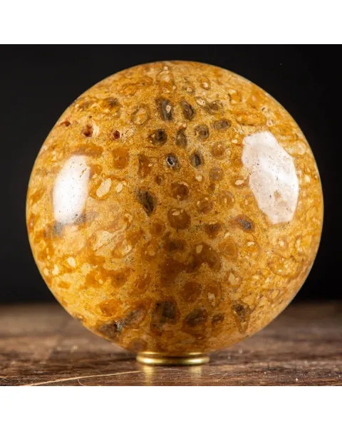 Sfera in Corallo Fossile