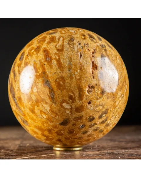 Sfera in Corallo Fossile