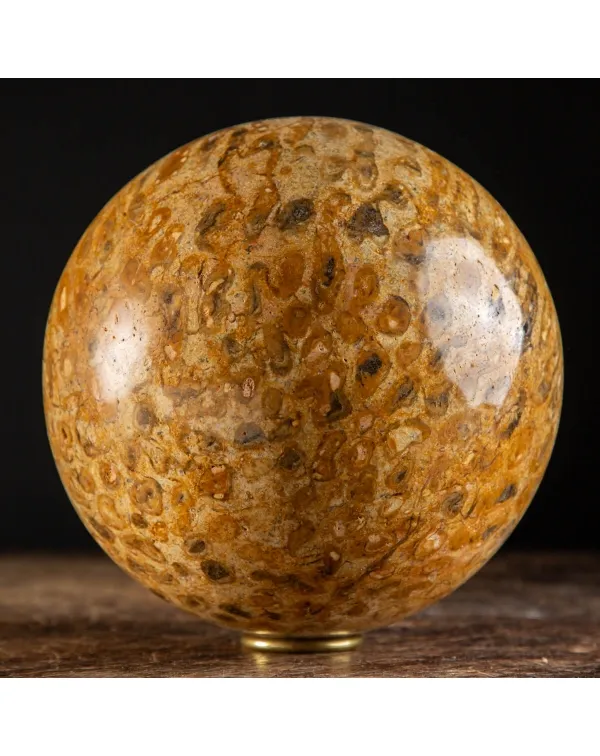 Sfera in Corallo Fossile