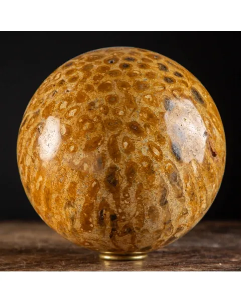 Sfera in Corallo Fossile