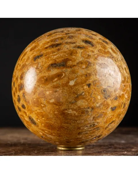 Sfera in Corallo Fossile