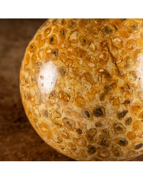 Sfera in Corallo Fossile