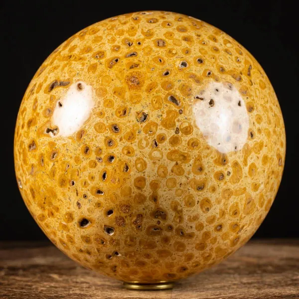 Sfera in Corallo Fossile