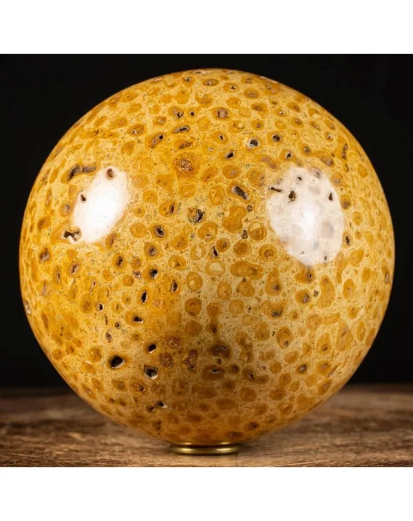 Sfera in Corallo Fossile
