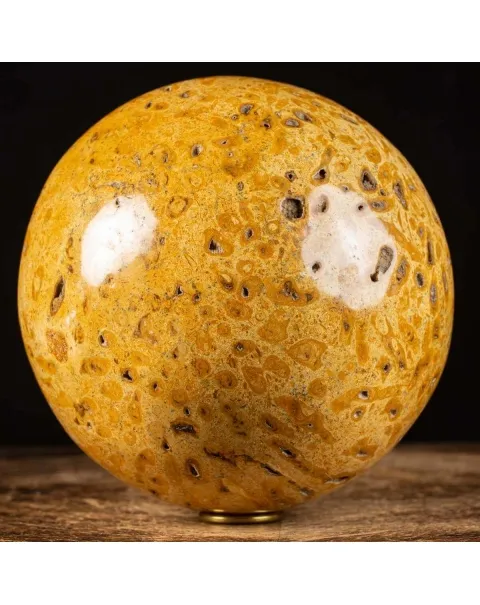 Sfera in Corallo Fossile