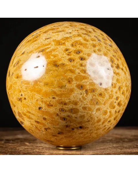Sfera in Corallo Fossile