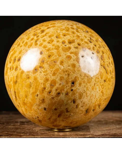 Sfera in Corallo Fossile