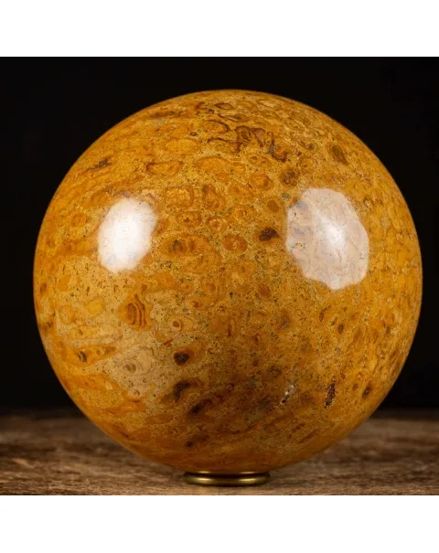 Sfera in Corallo Fossile
