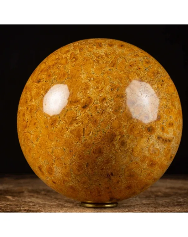 Sfera in Corallo Fossile