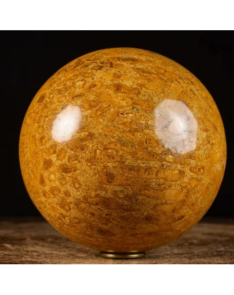 Sfera in Corallo Fossile