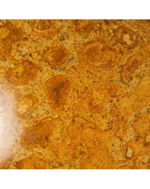 Sfera in Corallo Fossile