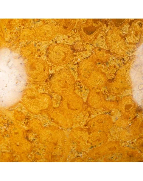Sfera in Corallo Fossile