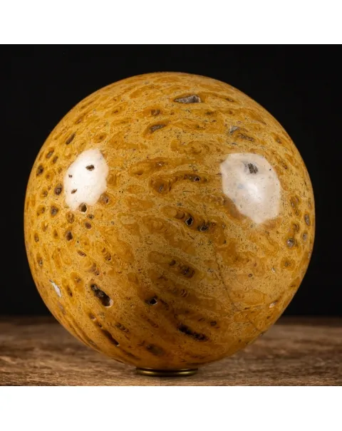 Sfera in Corallo Fossile