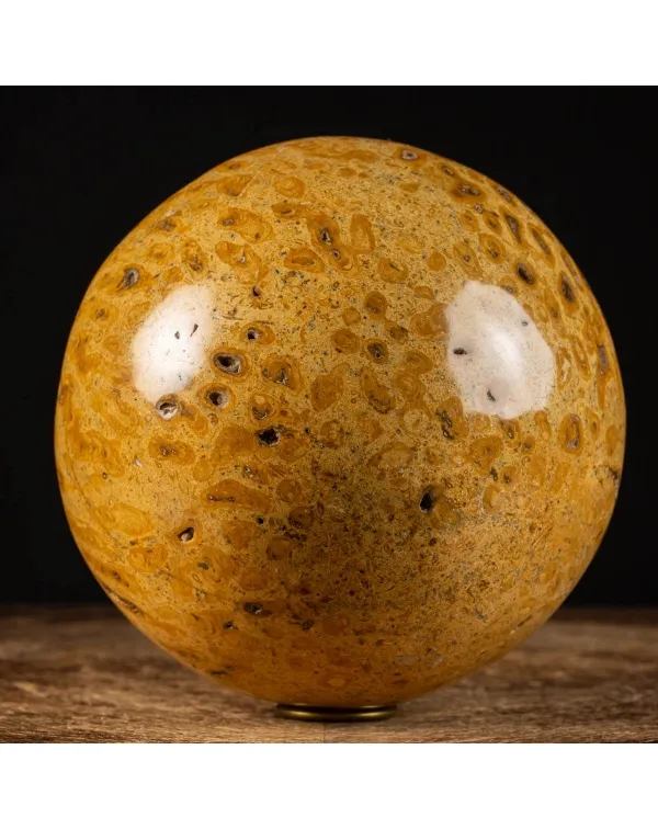 Sfera in Corallo Fossile