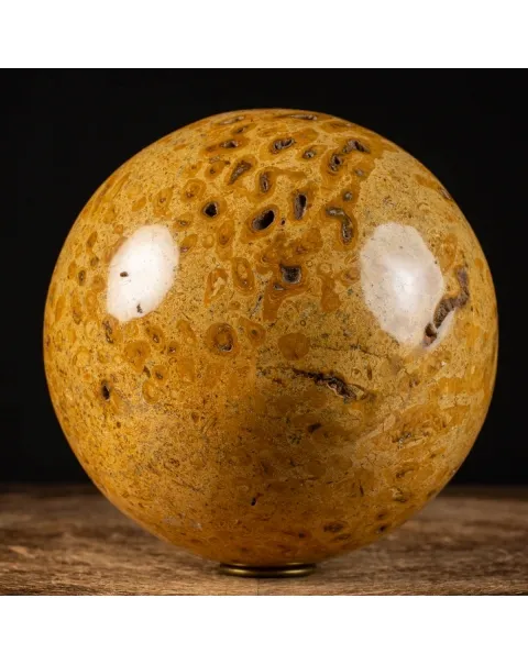 Sfera in Corallo Fossile