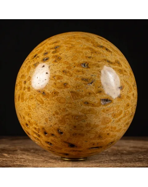 Sfera in Corallo Fossile