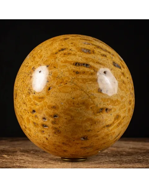 Sfera in Corallo Fossile