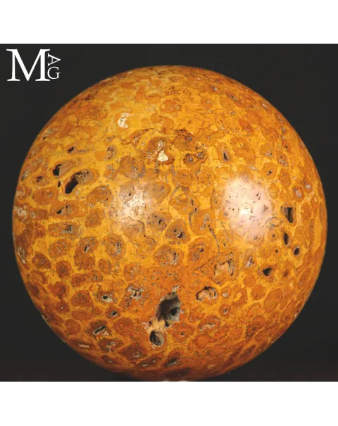 Sfera di Corallo Fossile del Madagascar.